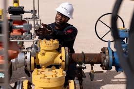 CERTIFIED PROCESS SAFETY PROFESSIONAL(CCPSC®)